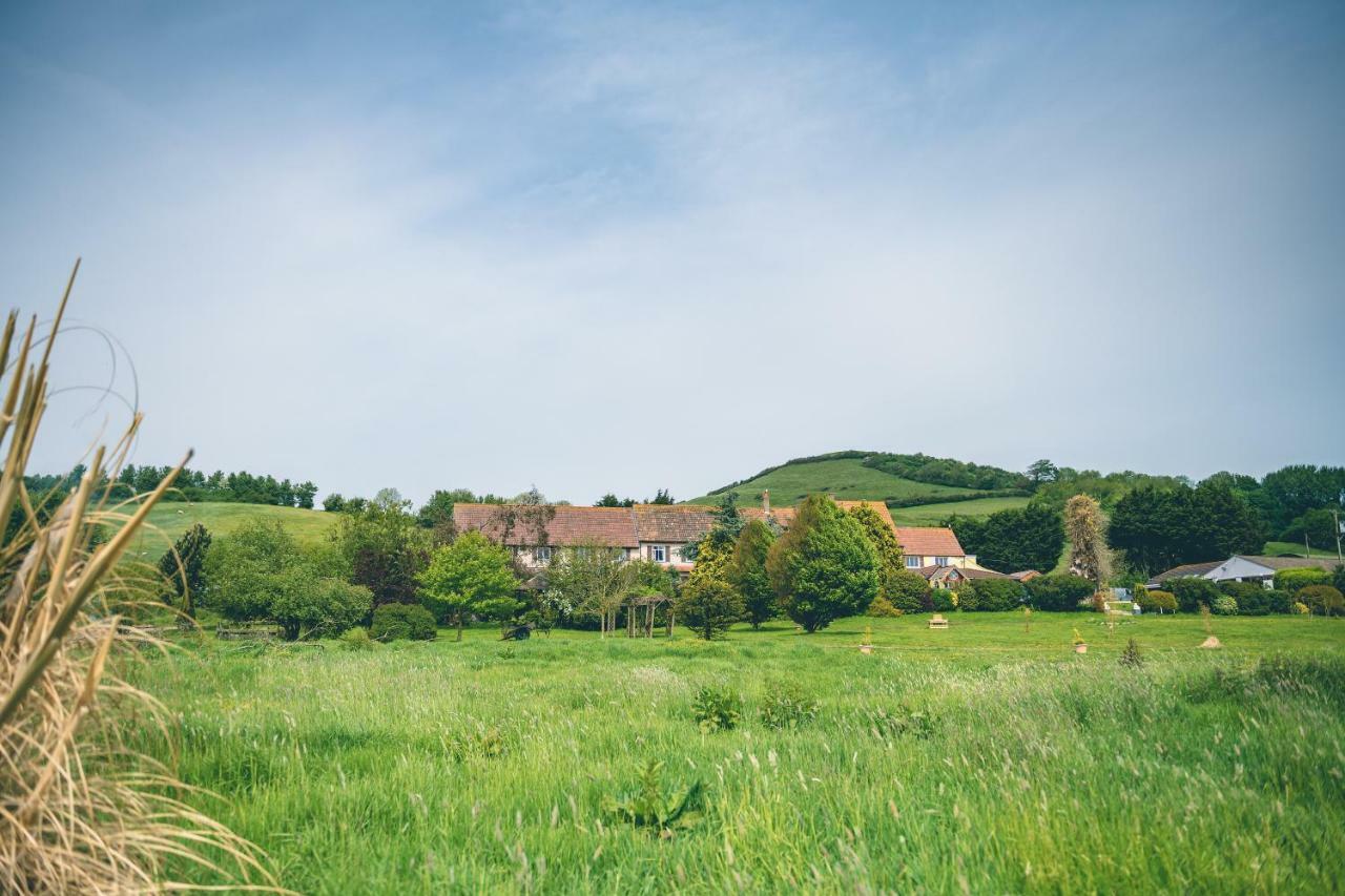 The Grange Hotel Brent Knoll Highbridge Buitenkant foto